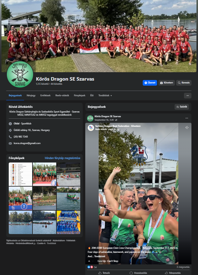 A photograph of a Hungarian dragon boat team posing together for a group photo outside.