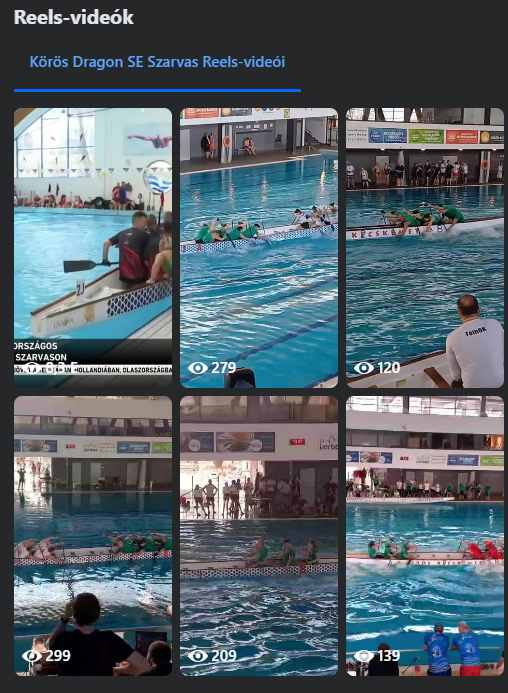 * Featured Genre: Sports * Key Event: Dragon Boat Racing * Main Activity: Competitive Race * Setting: Indoor Swimming Pool