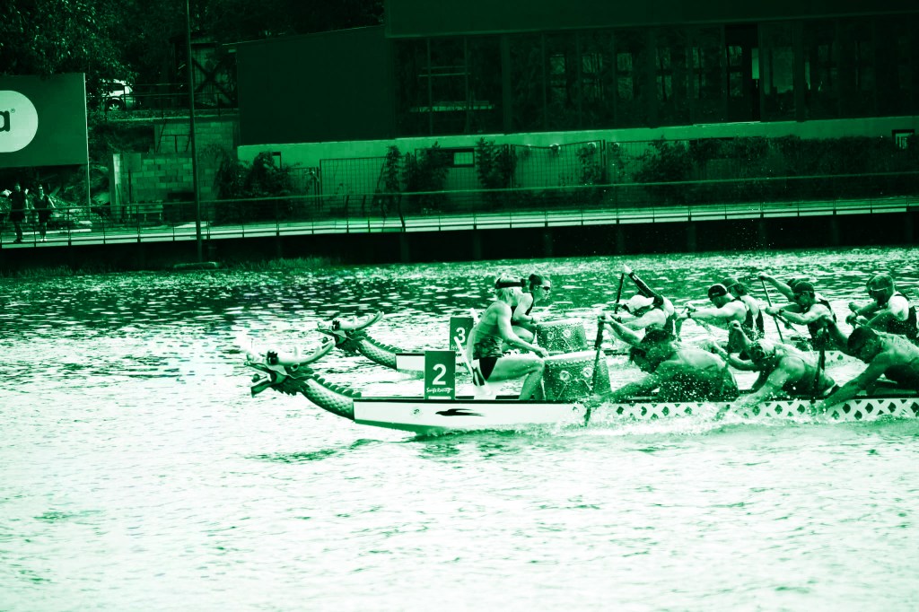 Women compete in a dragon boat race, a sport in which teams of canoeists or rowers paddle long, slender boats called drago...